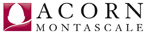 Acorn Montascale logo